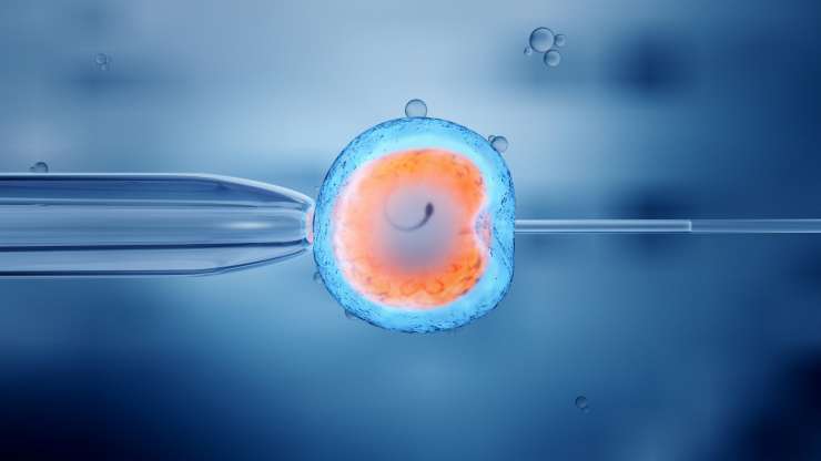 Bayi Tabung / Injeksi Sperma Intracytoplasmic