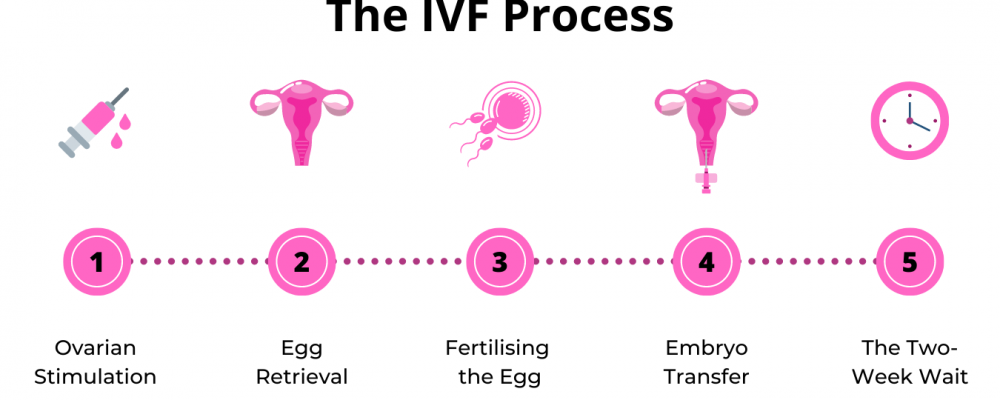 Inseminación in vitro cuanto cuesta