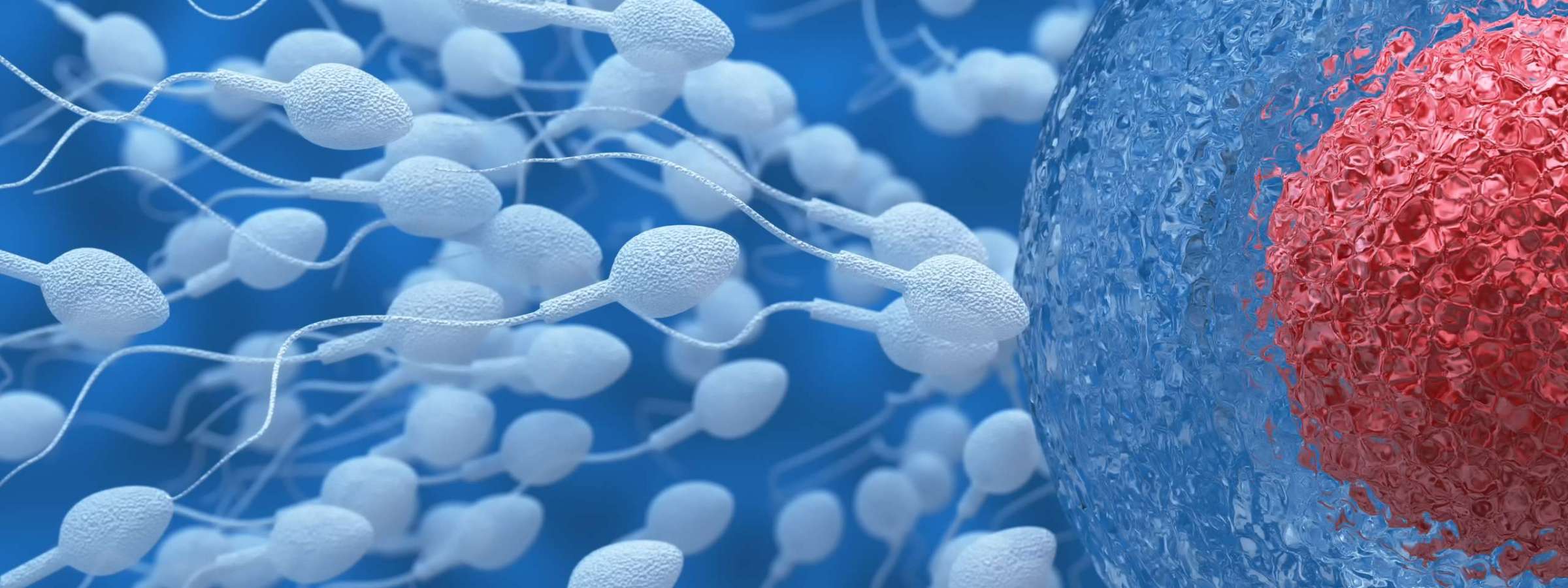 a 人工授精(微信号ivf2022)人工授精地址官网资讯价格费用代孕试管助孕代怀yed em Promoção na Shopee Brasil  2023