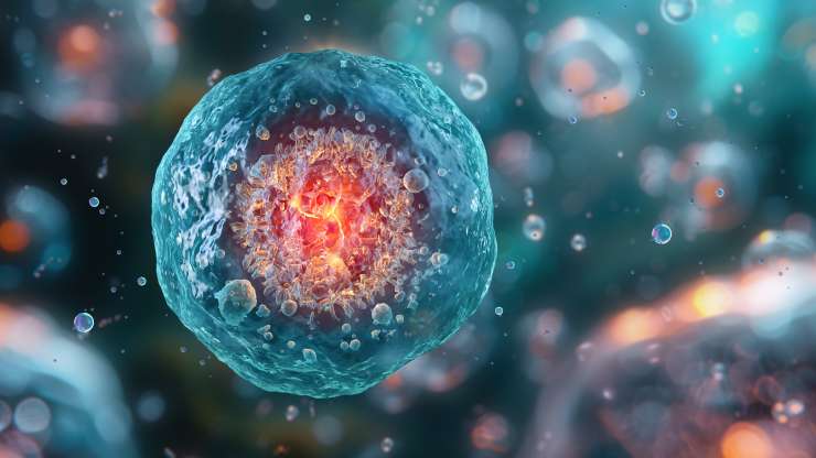 Mosaicism in Embryos